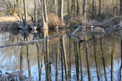 2020-04-12 Sochowa Zagroda - wielkanoc (28)