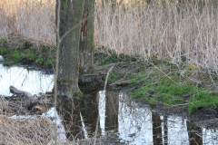 2020-04-12 Sochowa Zagroda - wielkanoc (29)