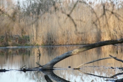 2020-04-12 Sochowa Zagroda - wielkanoc (30)