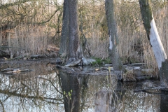 2020-04-12 Sochowa Zagroda - wielkanoc (31)