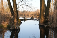 2020-04-12 Sochowa Zagroda - wielkanoc (33)