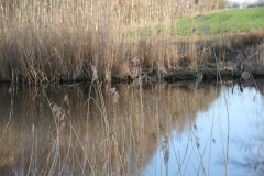 2020-04-12 Sochowa Zagroda - wielkanoc (34)