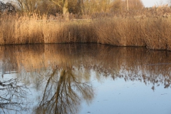 2020-04-12 Sochowa Zagroda - wielkanoc (35)