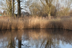 2020-04-12 Sochowa Zagroda - wielkanoc (36)