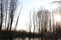 2020-04-12 Sochowa Zagroda - wielkanoc (37)