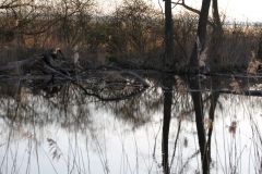 2020-04-12 Sochowa Zagroda - wielkanoc (38)