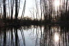 2020-04-12 Sochowa Zagroda - wielkanoc (39)