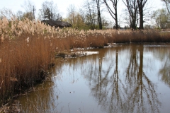 2020-04-19 Sochowa Zagroda - wiosna (21)