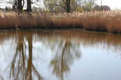 2020-04-19 Sochowa Zagroda - wiosna (24)