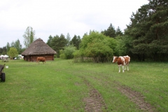 2021-05-22 Tokarnia - skansen (81)