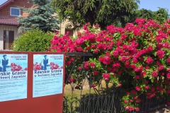 2021-06-13 Sochowa Zagroda - róże (17)