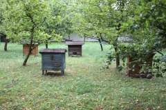 2021-08-20 Sierpc (198)