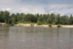 2021-08-28 Kazimierz Dolny (53)