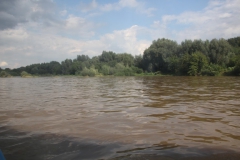 2021-08-28 Kazimierz Dolny (73)