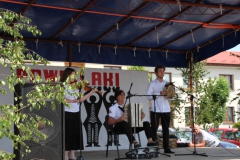 2022-06-12 Maciejowice (63)