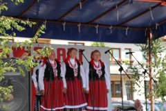 2022-06-12 Maciejowice (64)