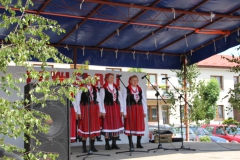 2022-06-12 Maciejowice (65)