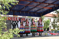 2022-06-12 Maciejowice (79)