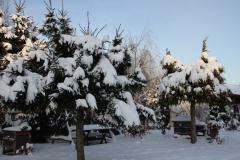 2022-12-19 Sochowa Zagroda (10)