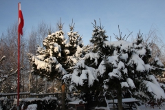 2022-12-19 Sochowa Zagroda (9)