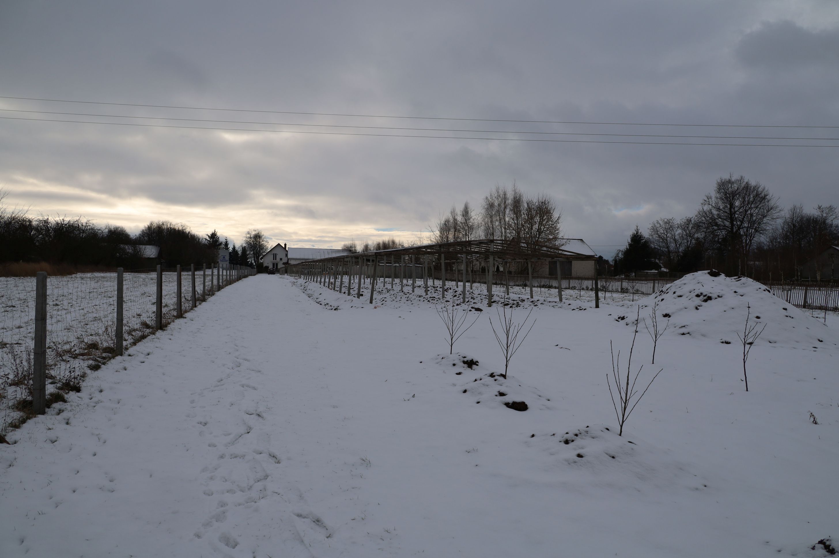 2024-01-14 Sochowa Zagroda (10)