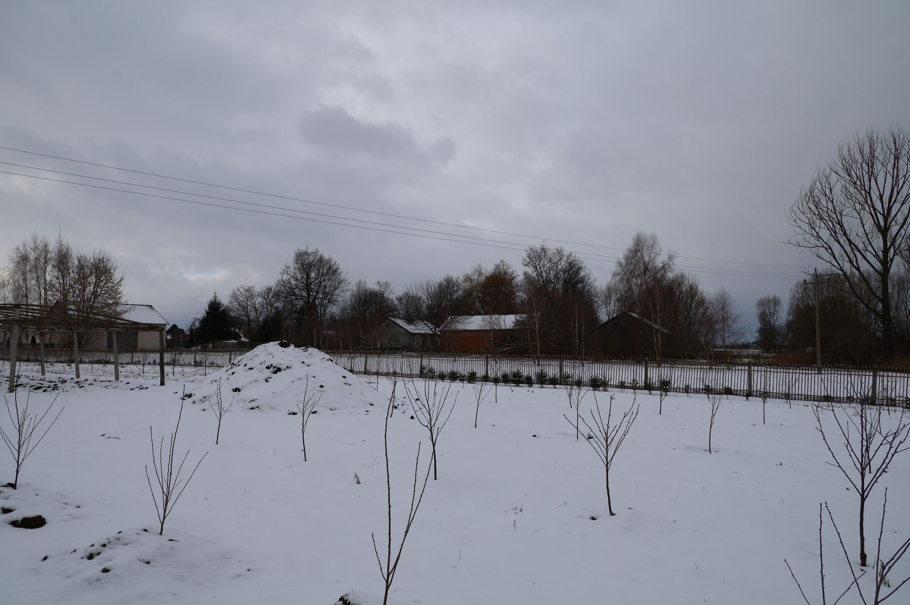 2024-01-14 Sochowa Zagroda (11)