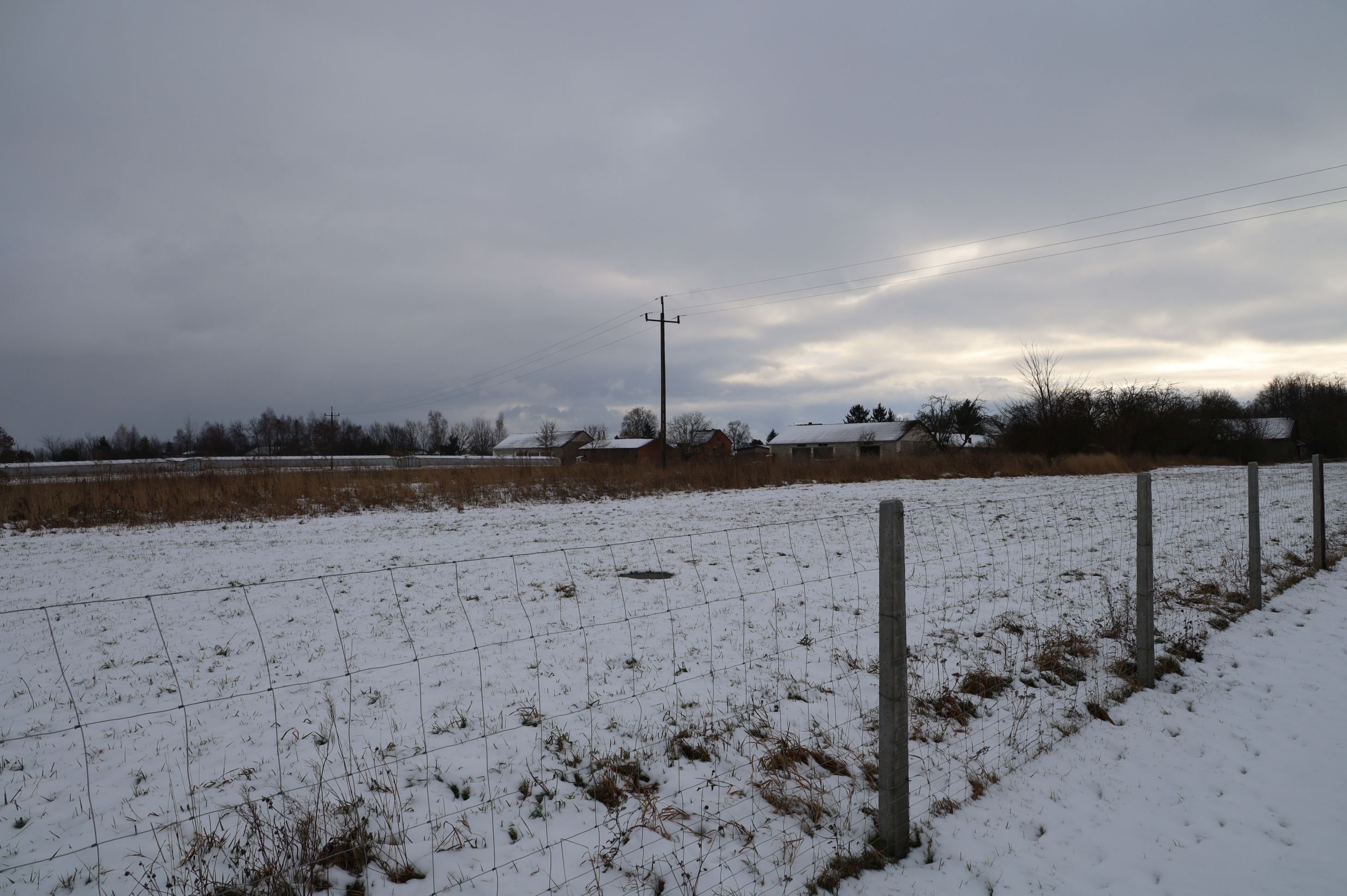 2024-01-14 Sochowa Zagroda (12)