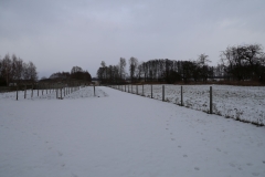 2024-01-14 Sochowa Zagroda (1)