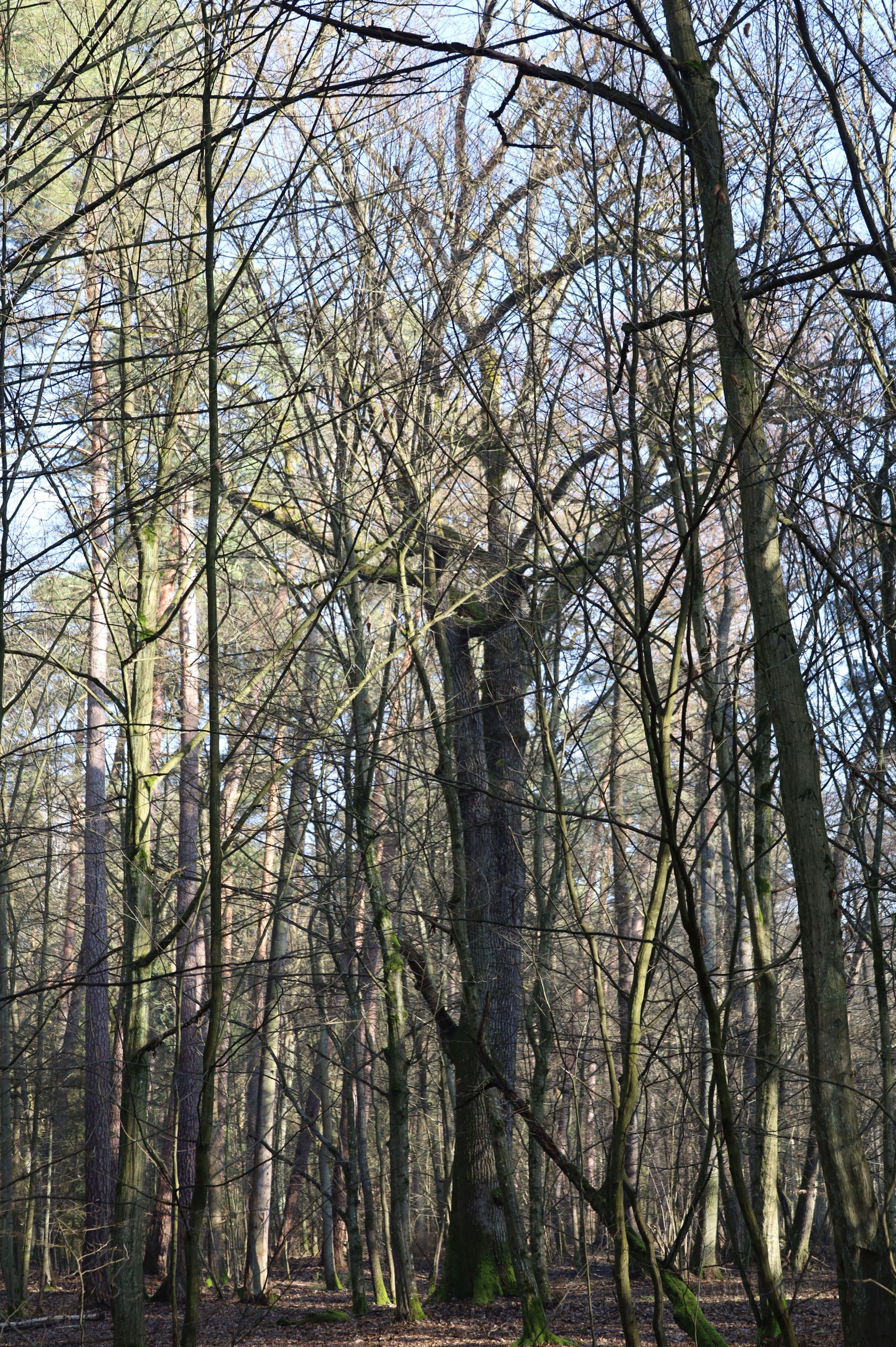 2024-02-2025 Liciążna (21)