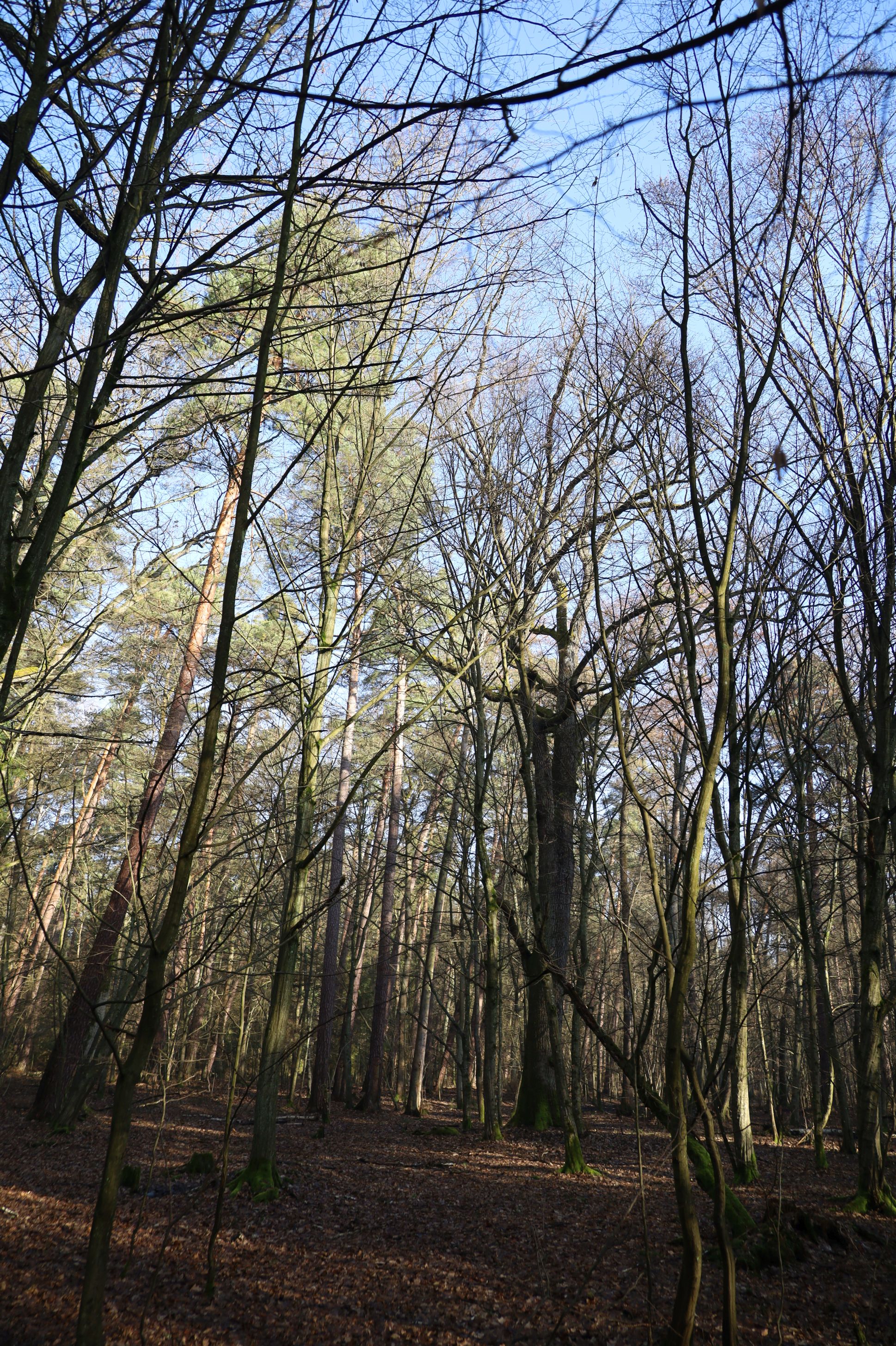 2024-02-2025 Liciążna (22)