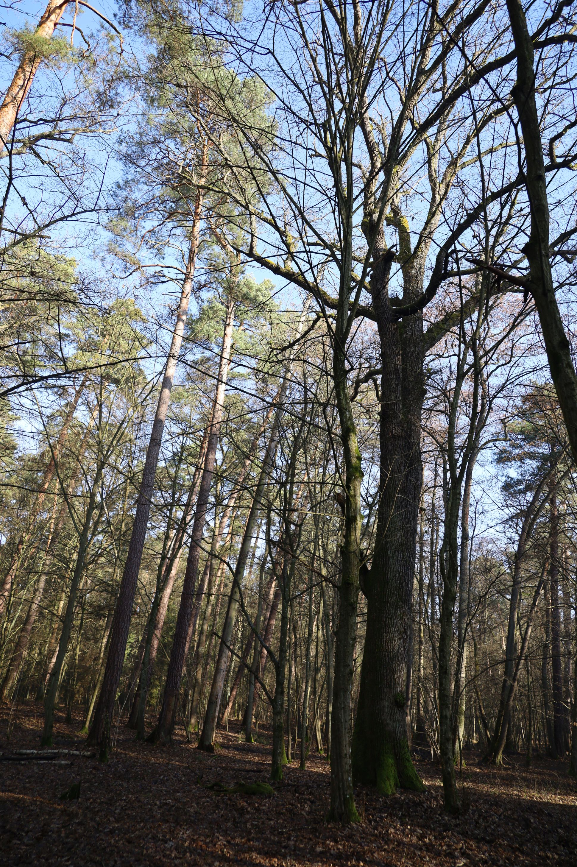 2024-02-2025 Liciążna (24)
