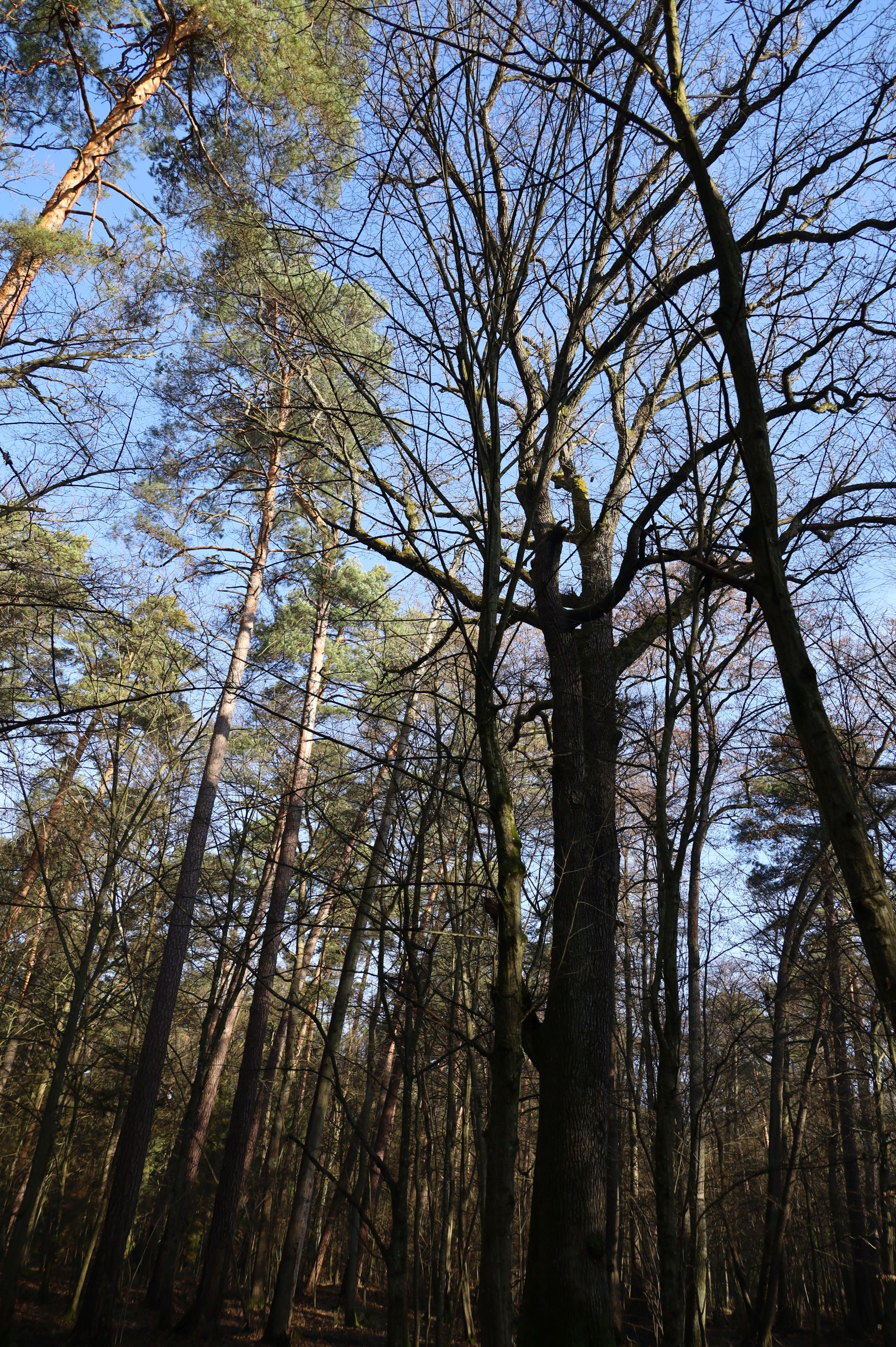 2024-02-2025 Liciążna (25)