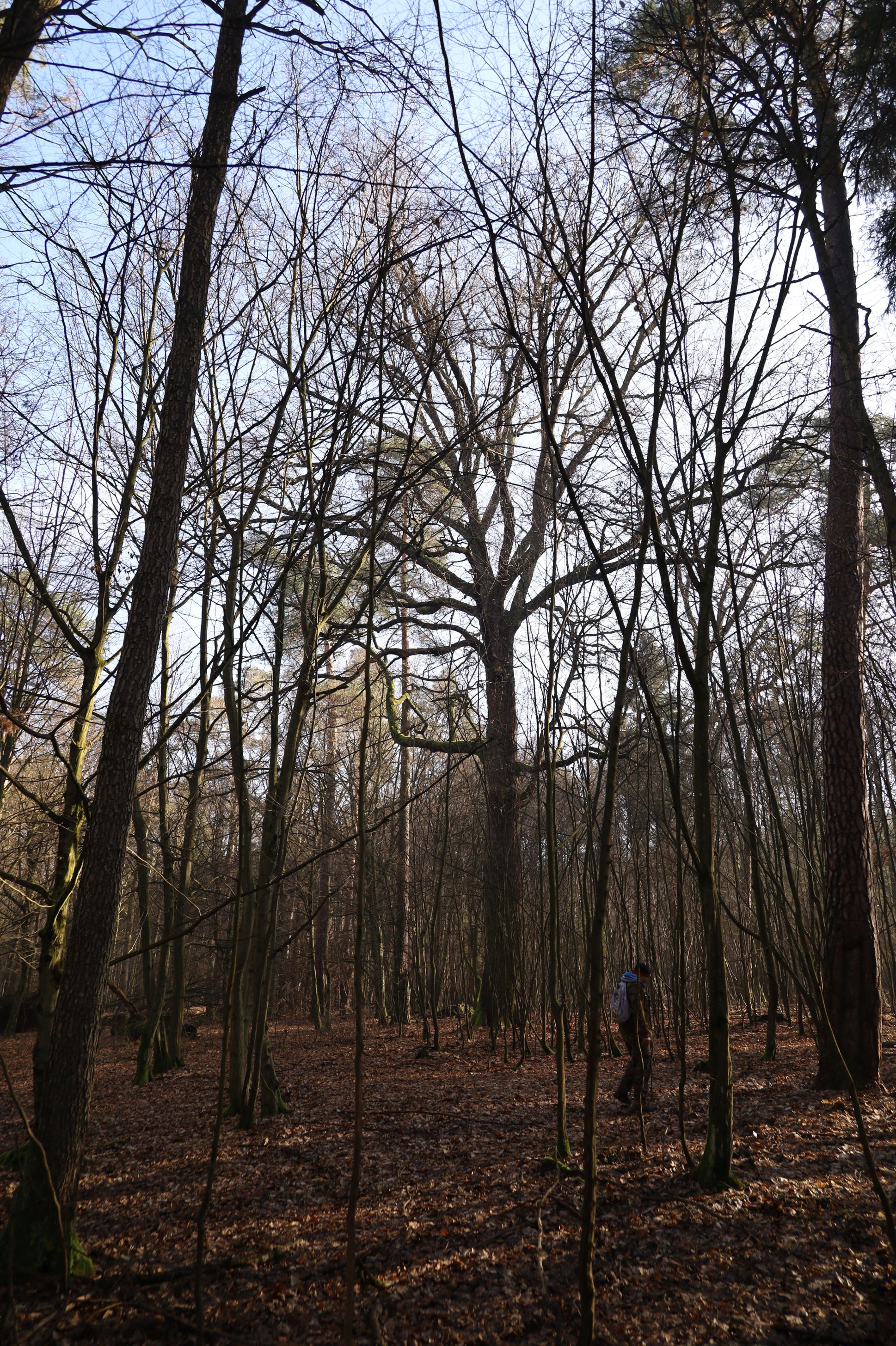 2024-02-2025 Liciążna (26)