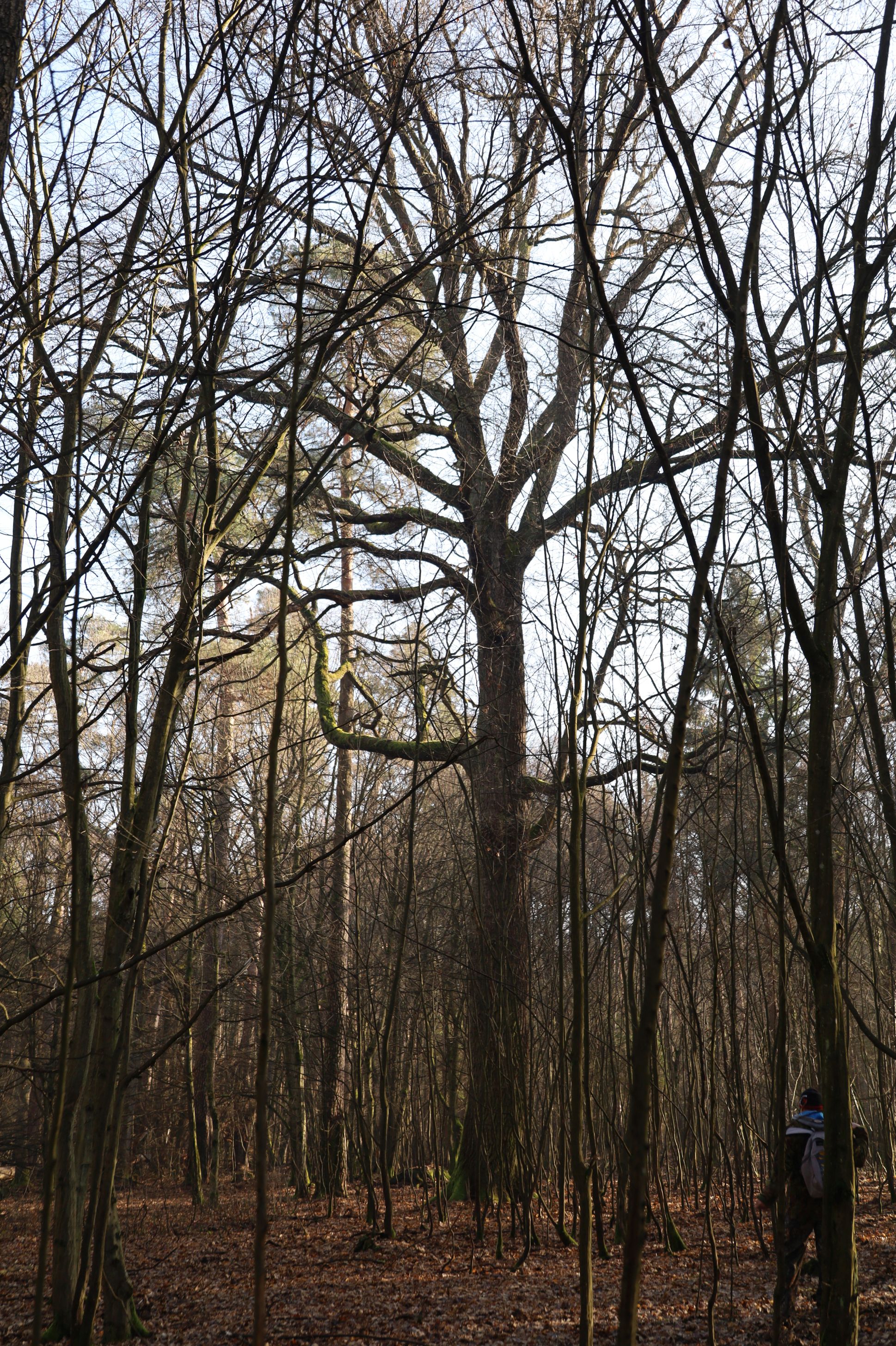 2024-02-2025 Liciążna (27)