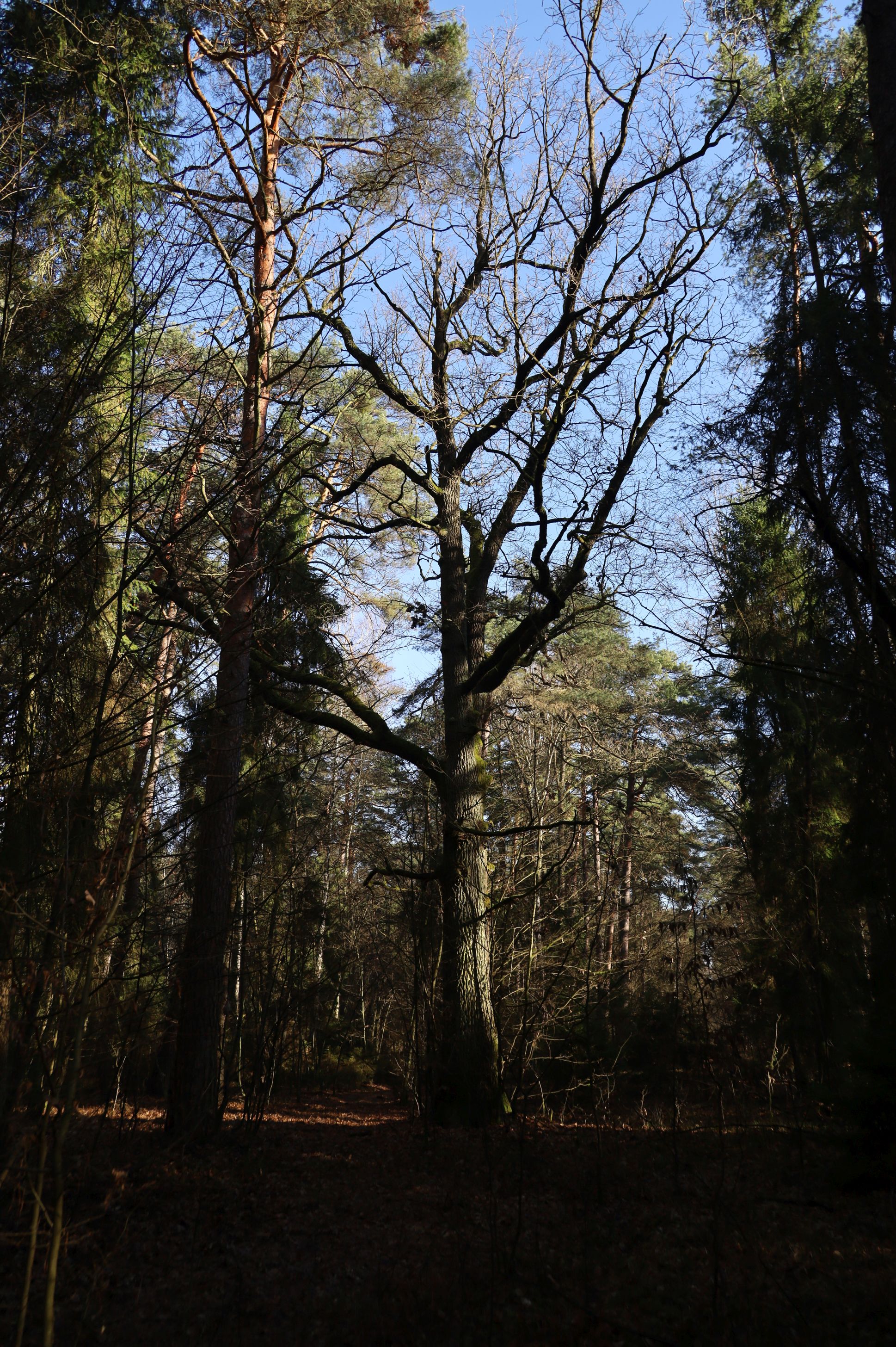 2024-02-2025 Liciążna (34)