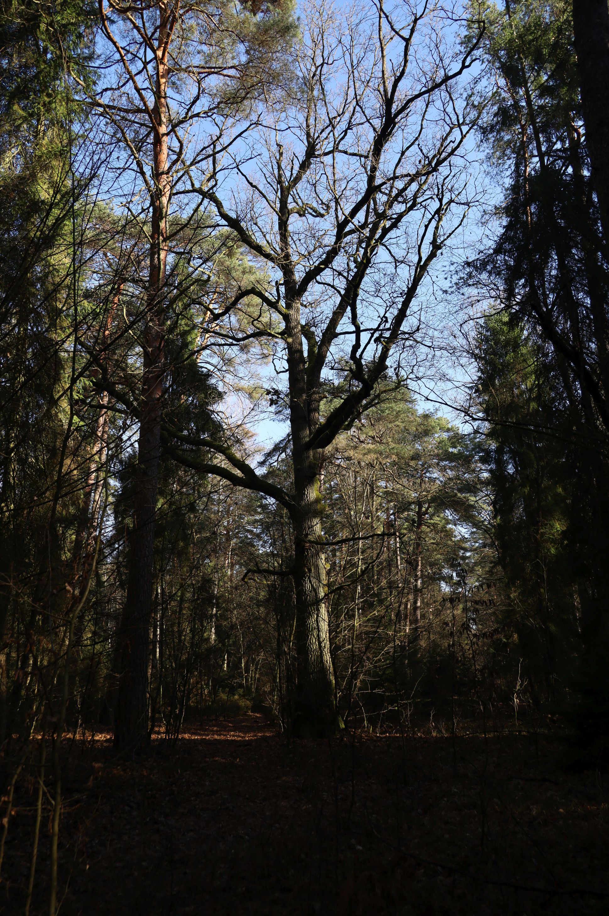 2024-02-2025 Liciążna (35)