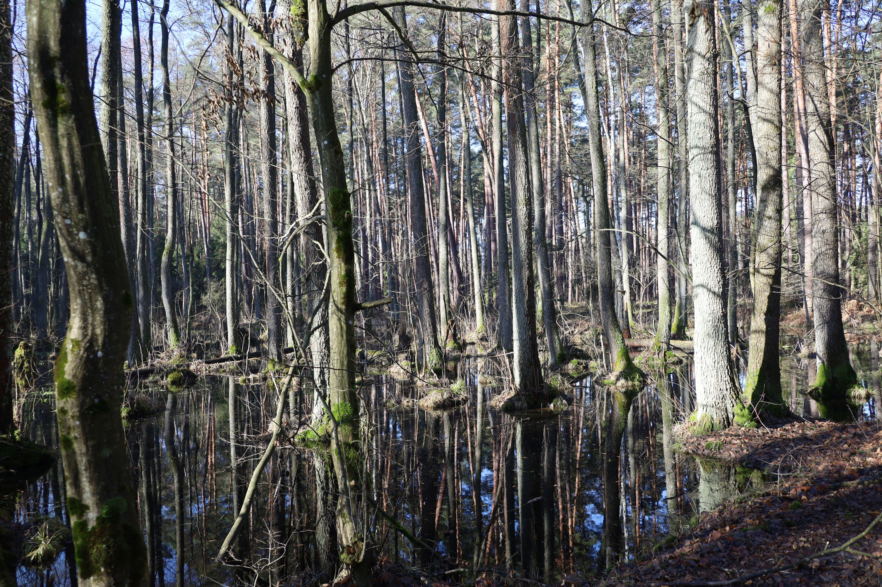 2024-02-2025 Liciążna (38)
