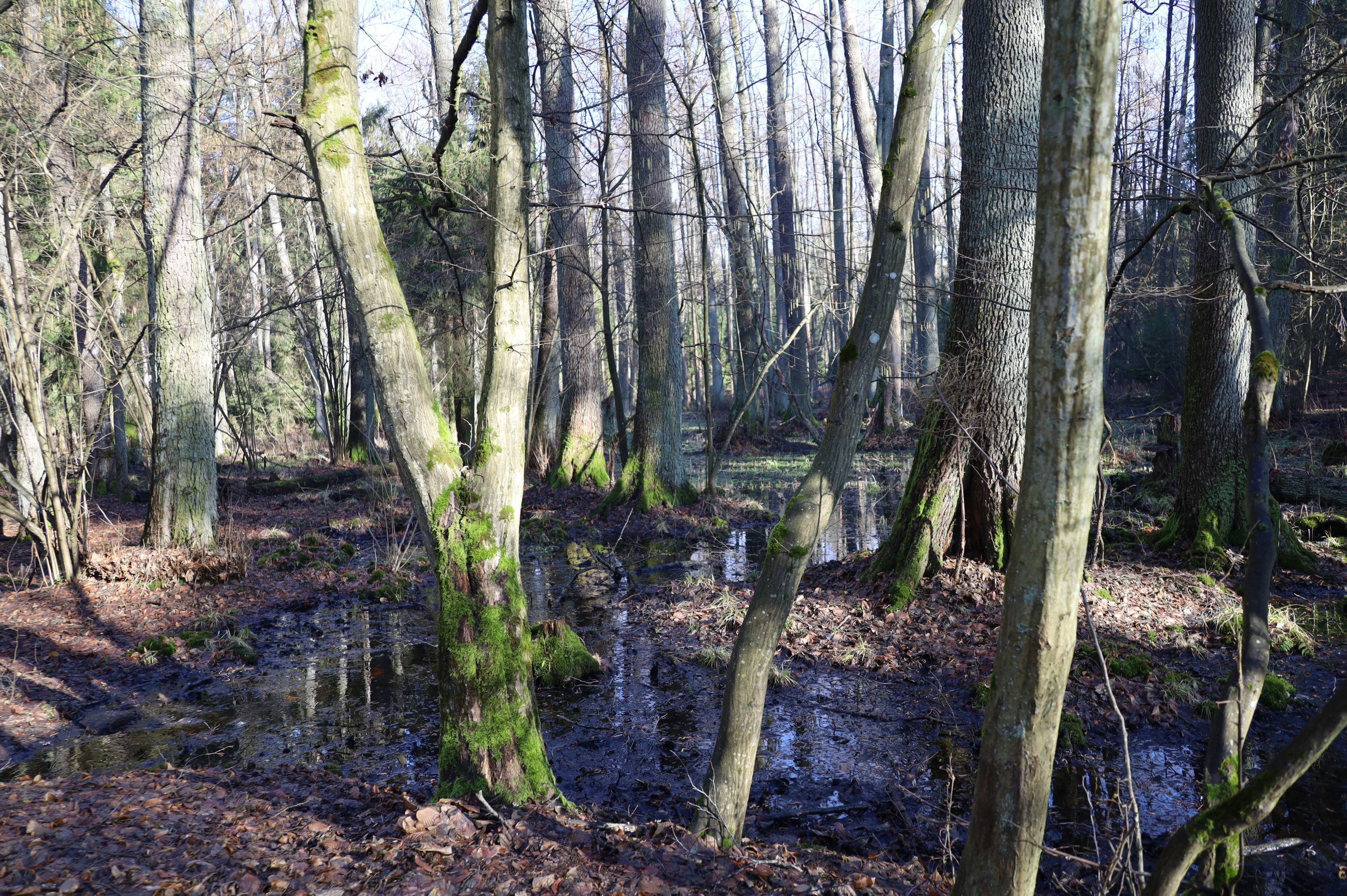 2024-02-2025 Liciążna (39)