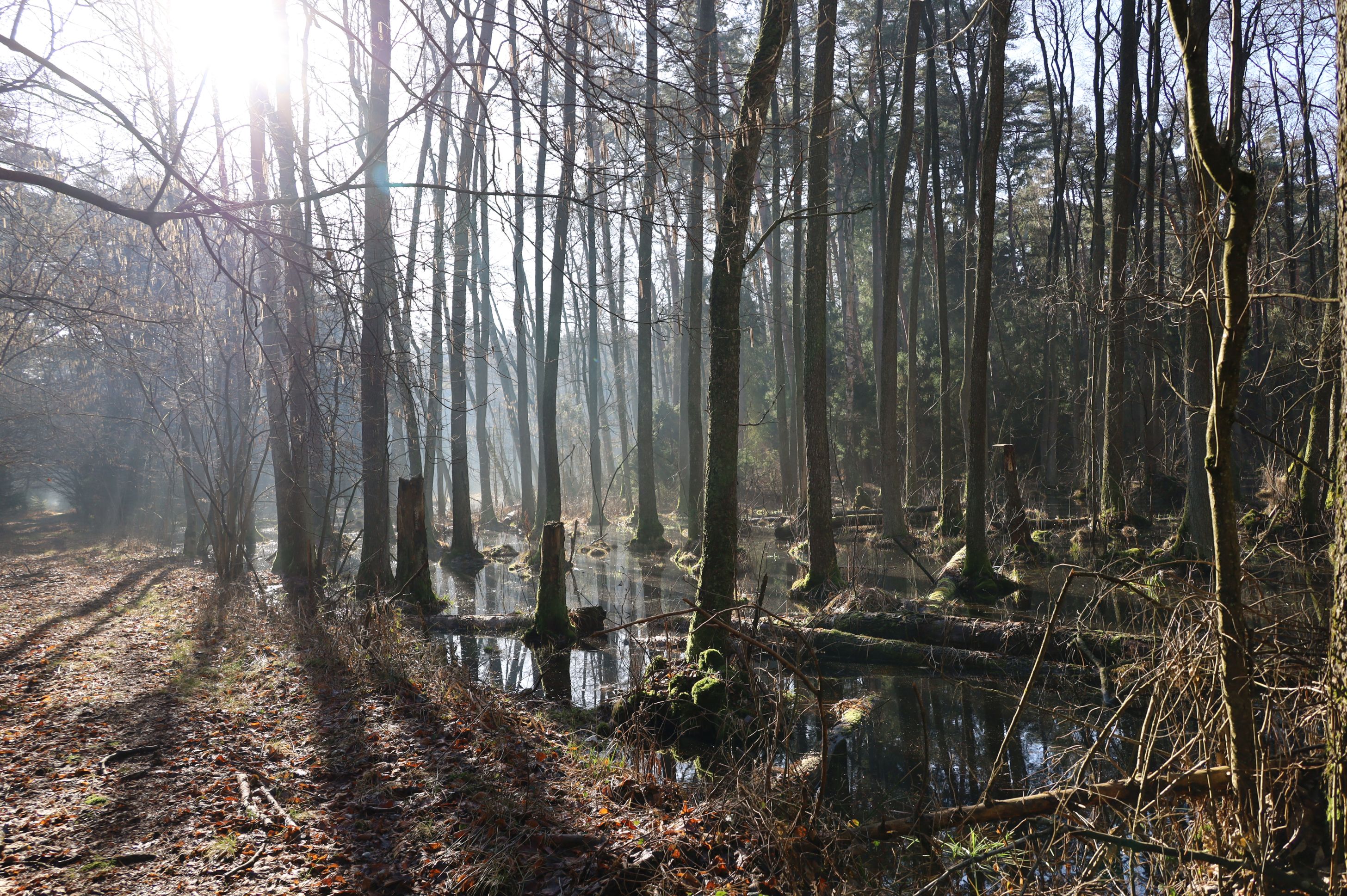 2024-02-2025 Liciążna (40)