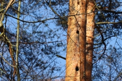2024-02-2025 Liciążna (14)