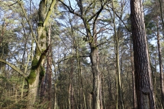 2024-02-2025 Liciążna (15)