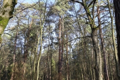 2024-02-2025 Liciążna (16)