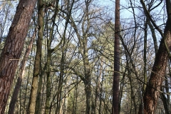 2024-02-2025 Liciążna (19)