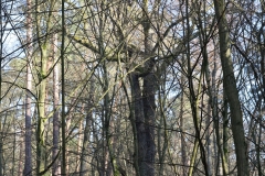 2024-02-2025 Liciążna (21)