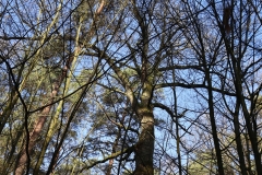 2024-02-2025 Liciążna (23)