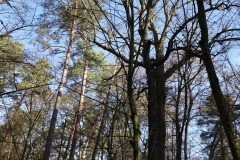 2024-02-2025 Liciążna (25)