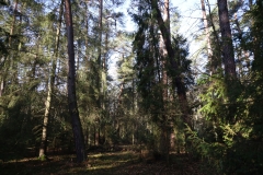 2024-02-2025 Liciążna (28)