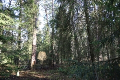 2024-02-2025 Liciążna (29)