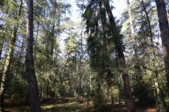 2024-02-2025 Liciążna (30)