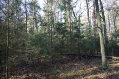 2024-02-2025 Liciążna (31)